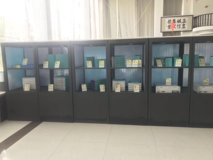 centrale elettrica portatile di 1000W rv per immagazzinamento dell'energia della famiglia 14