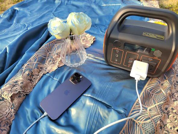 centrale elettrica portatile di 1000W rv per immagazzinamento dell'energia della famiglia 5