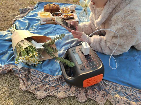 centrale elettrica portatile di 1000W rv per immagazzinamento dell'energia della famiglia 8